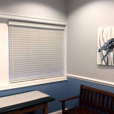Palmetto Pediatrics of the Lowcountry - Examination Room