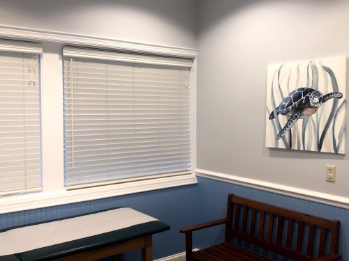 Palmetto Pediatrics of the Lowcountry - Examination Room