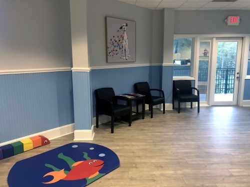 Palmetto Pediatrics of the Lowcountry - Waiting Room